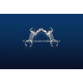 Detachable Denture Metal Partial Bridge